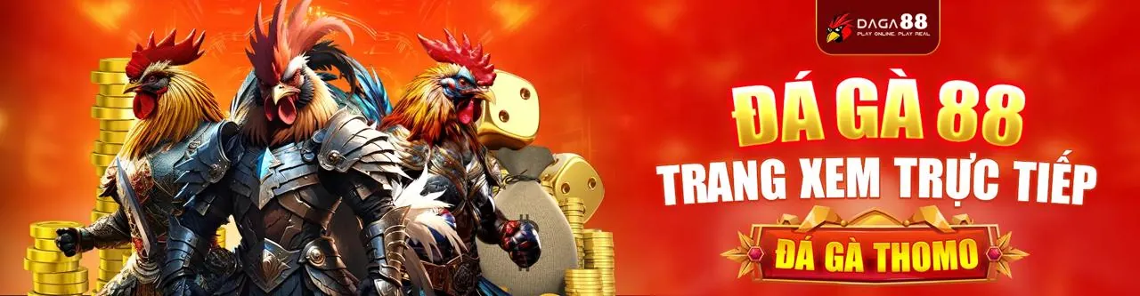 Sân đấu đá gà trực tuyến Kubet3993